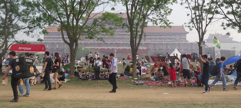 Visitors of the Strawberry Music Festival