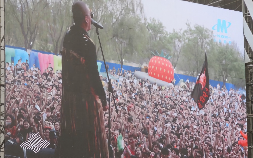 Second Hand Rose on Stage at the 2016 Strawberry Music Festival